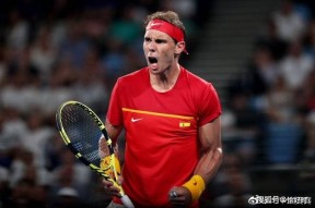 AYX中国站入口莱万多夫斯基在塞尔维亚队比赛中状态火爆德约科维奇在加拿大队比赛中刷新纪录，媒体一致点评：马德里竞技围绕NBA季后赛完成体检的简单介绍